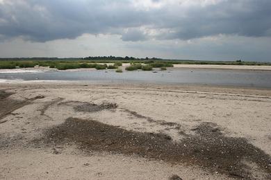 Sandee Primehook Beach