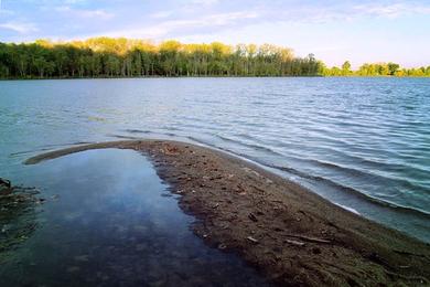 Sandee Creve Coeur Lake