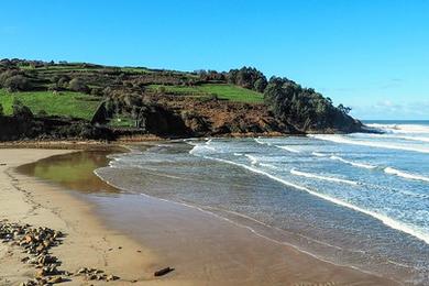 Sandee Allan Beach