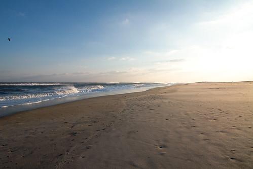 Sandee Assateague Beach
