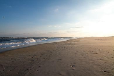 Sandee Assateague Beach