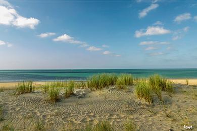 Sandee Beach Of La Palmyre