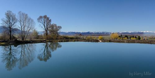 Sandee Bozeman Pond