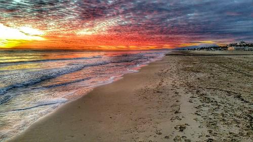 Sandee - HomePage / Alba Adriatica