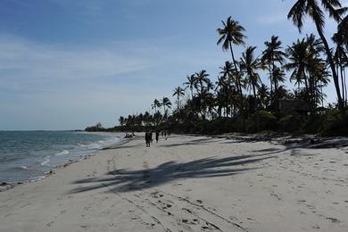 Sandee Saadani National Park