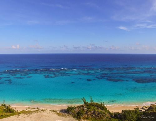 Sandee Paget Island Beach