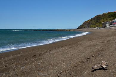 Sandee Wallis Sands Beach