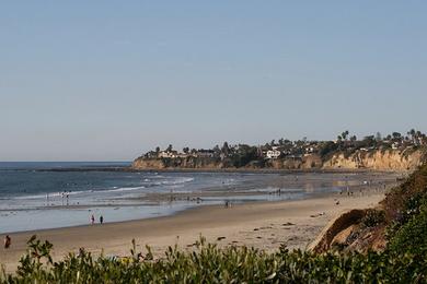 Sandee Bird Rock Beach