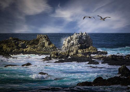 Sandee Pelican Bay State Beach