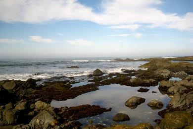 Sandee Mal Coombs Beach
