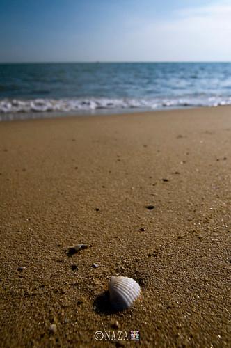 Sandee Teluk Batik Beach