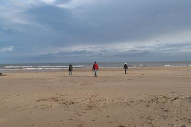 Sandee Tentsmuir Sands