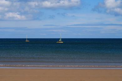 Sandee St. Andrews Bay Beach