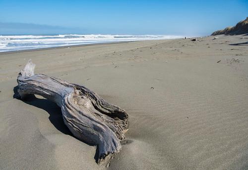 Sandee Mike Thompson Wildlife Area - South Spit Humboldt Bay