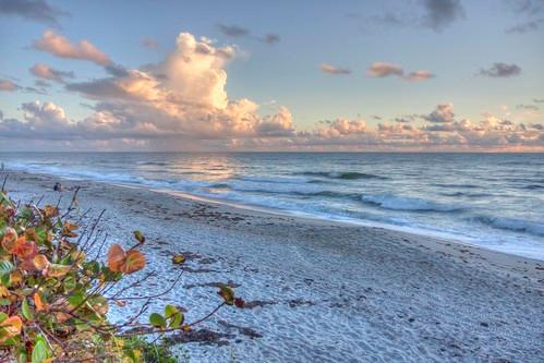 Sandee Hangar's Beach