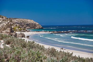 Sandee Shark Bay Beach