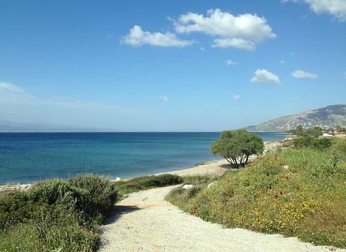 Sandee - HomePage / Aliveri