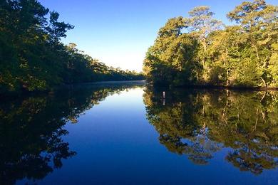 Sandee Croatan National Forest