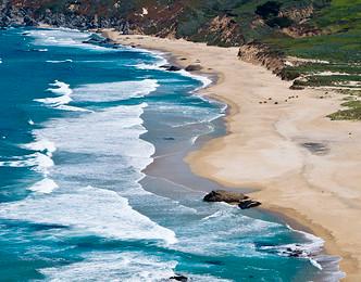 Sandee Dolphin Beach
