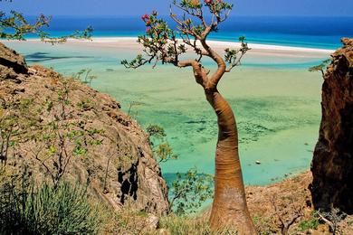 Sandee Best Beaches in Yemen 