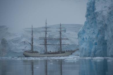 Sandee Island Beaches in Antartica