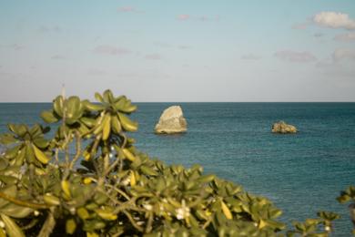 Sandee Best Party Beaches in Bermuda