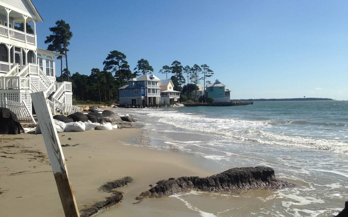 Sandee - HomePage / Daufuskie Island