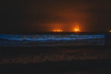 Sandee Best Bioluminescent Beaches in Colombia