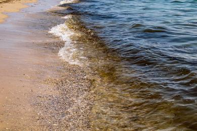 Sandee Best Surfing Beaches in Ukraine