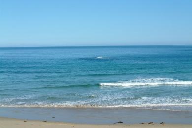 Sandee Smith's Beach
