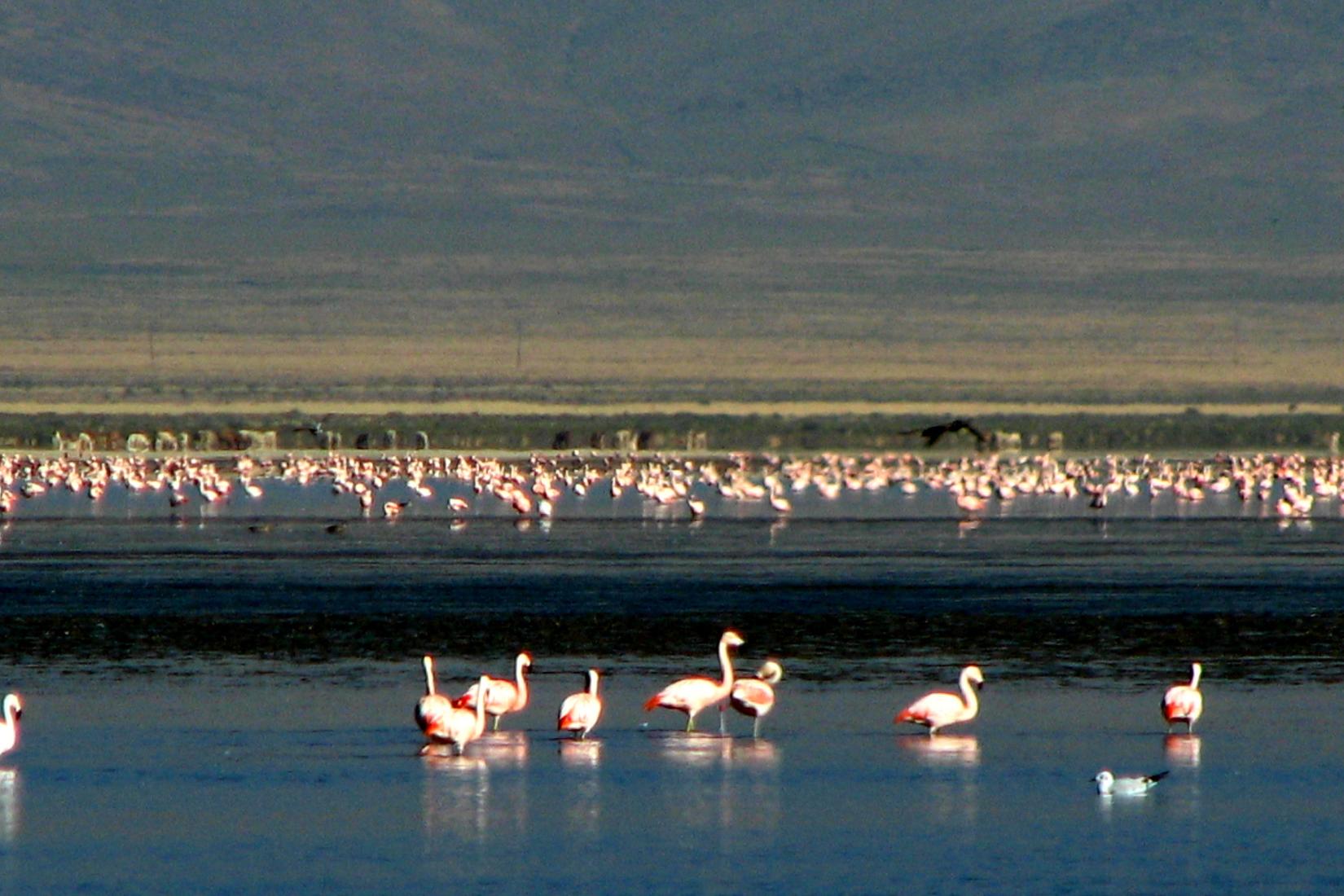 Sandee - HomePage / Jujuy