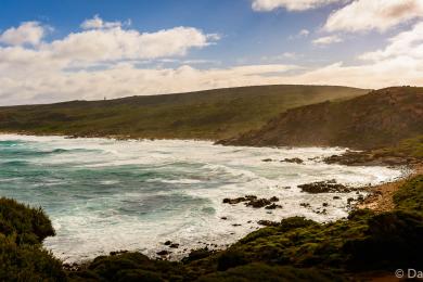 Sandee Bunker Bay