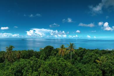 Sandee Best Beaches in Tofol