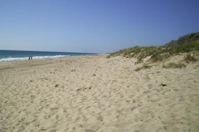 Sandee Preston Beach