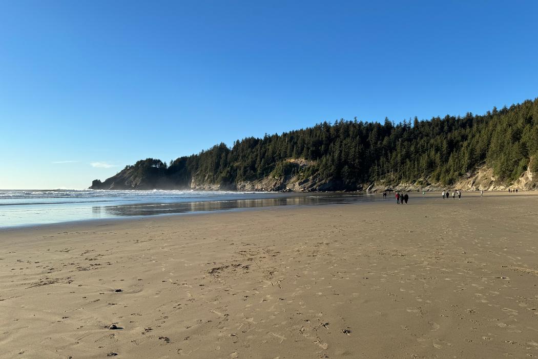 Sandee Short Sands Beach