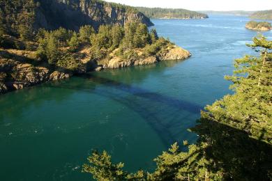 Sandee Bayview State Park
