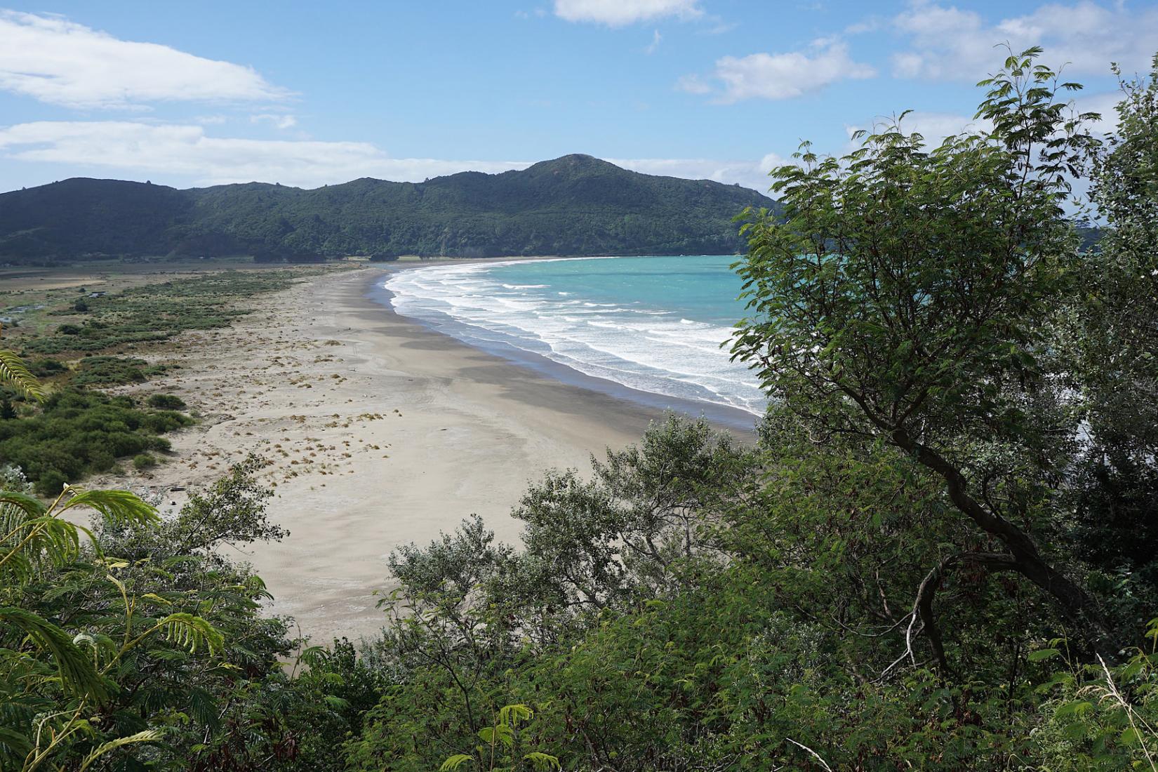 Sandee - HomePage / Gisborne