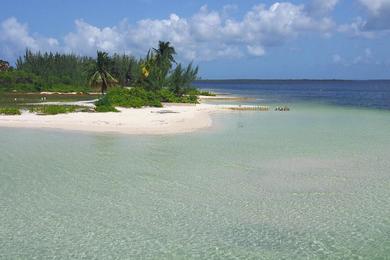 Sandee Starfish Point
