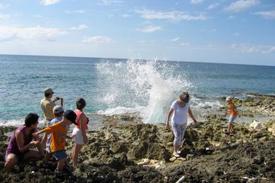Sandee The Blowholes