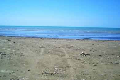 Sandee Divjaka Beach