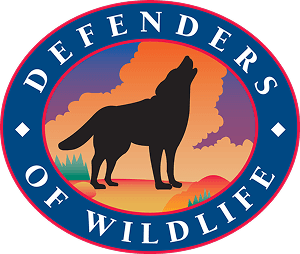 Sandee Defenders of Wildlife