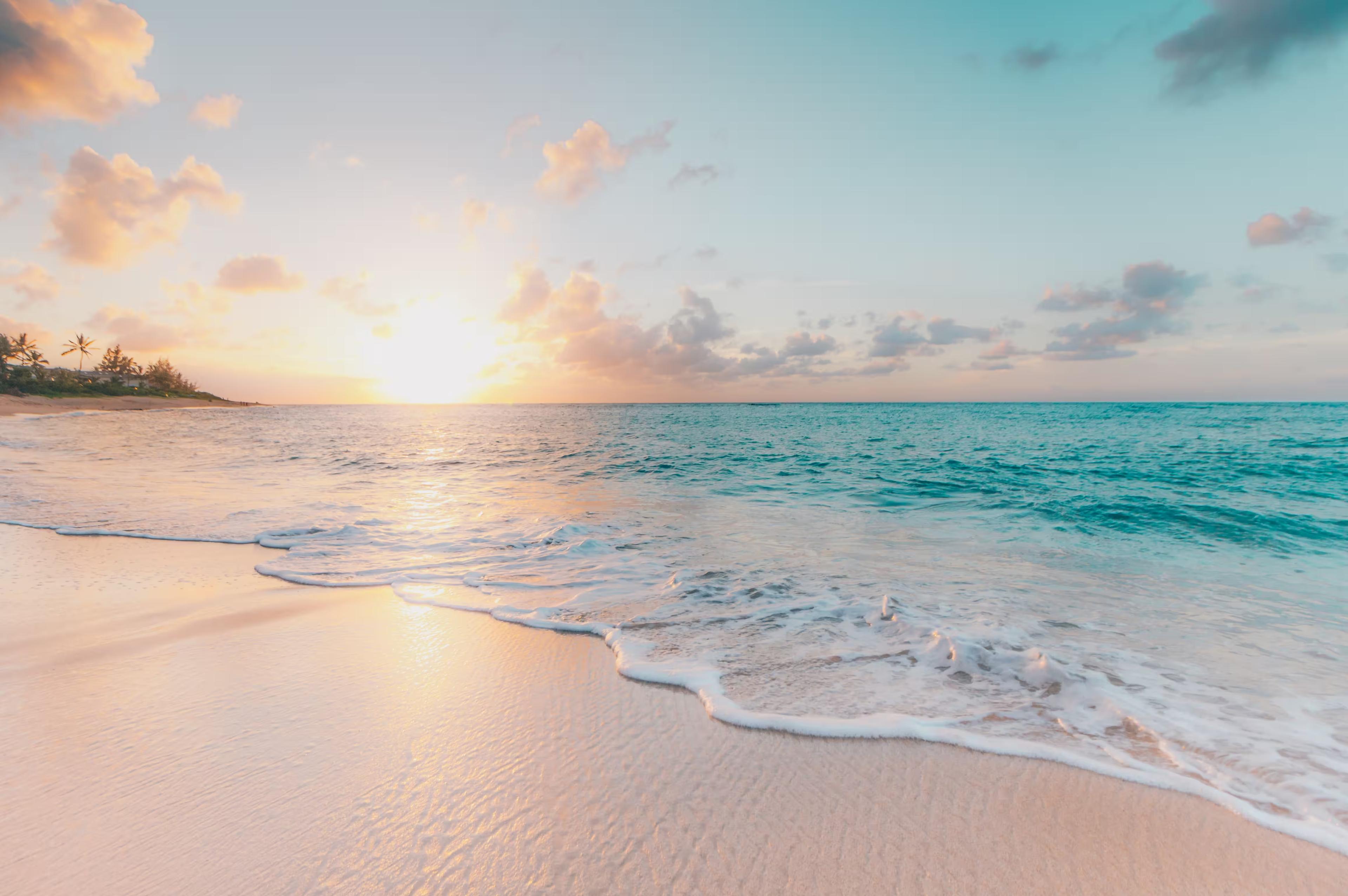 Sandee Plage Des Coquilles