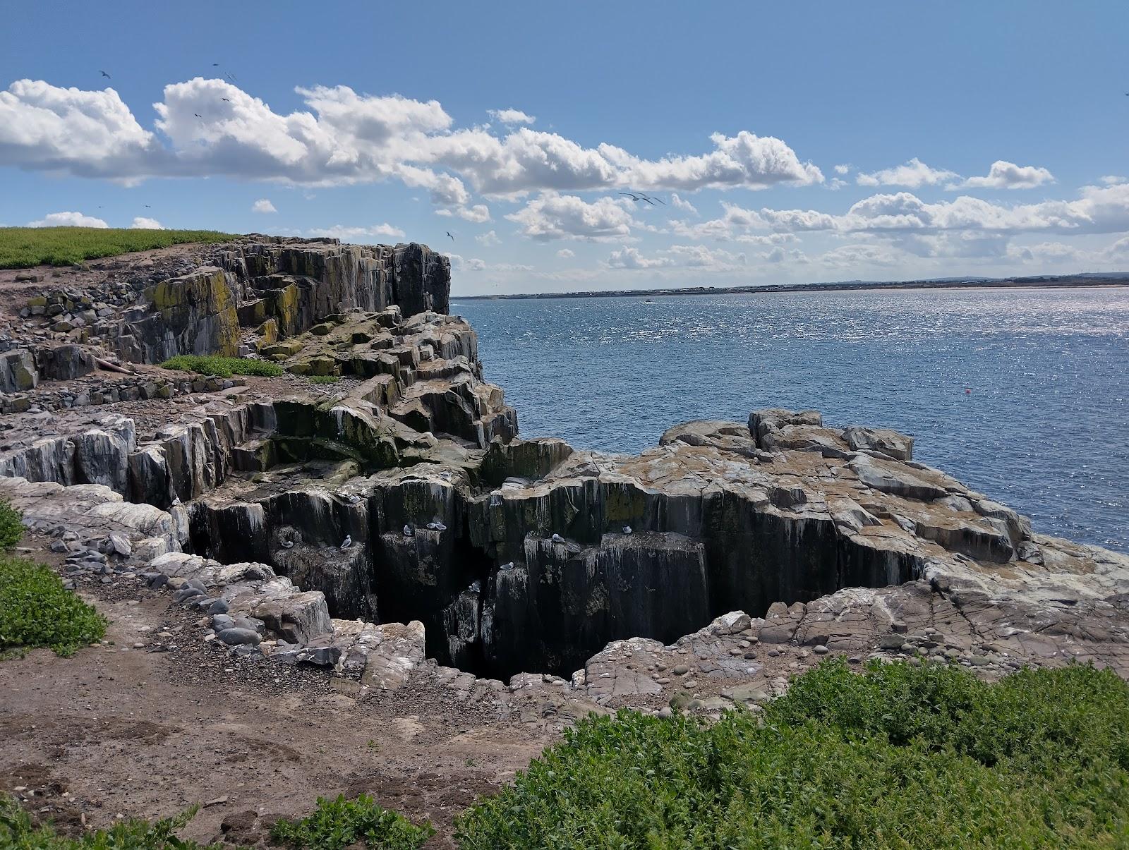Sandee Farne Islands Beach