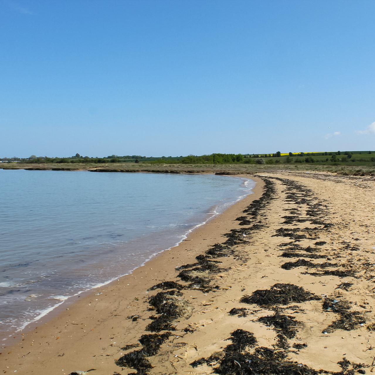Sandee St Mary's Bay Beach