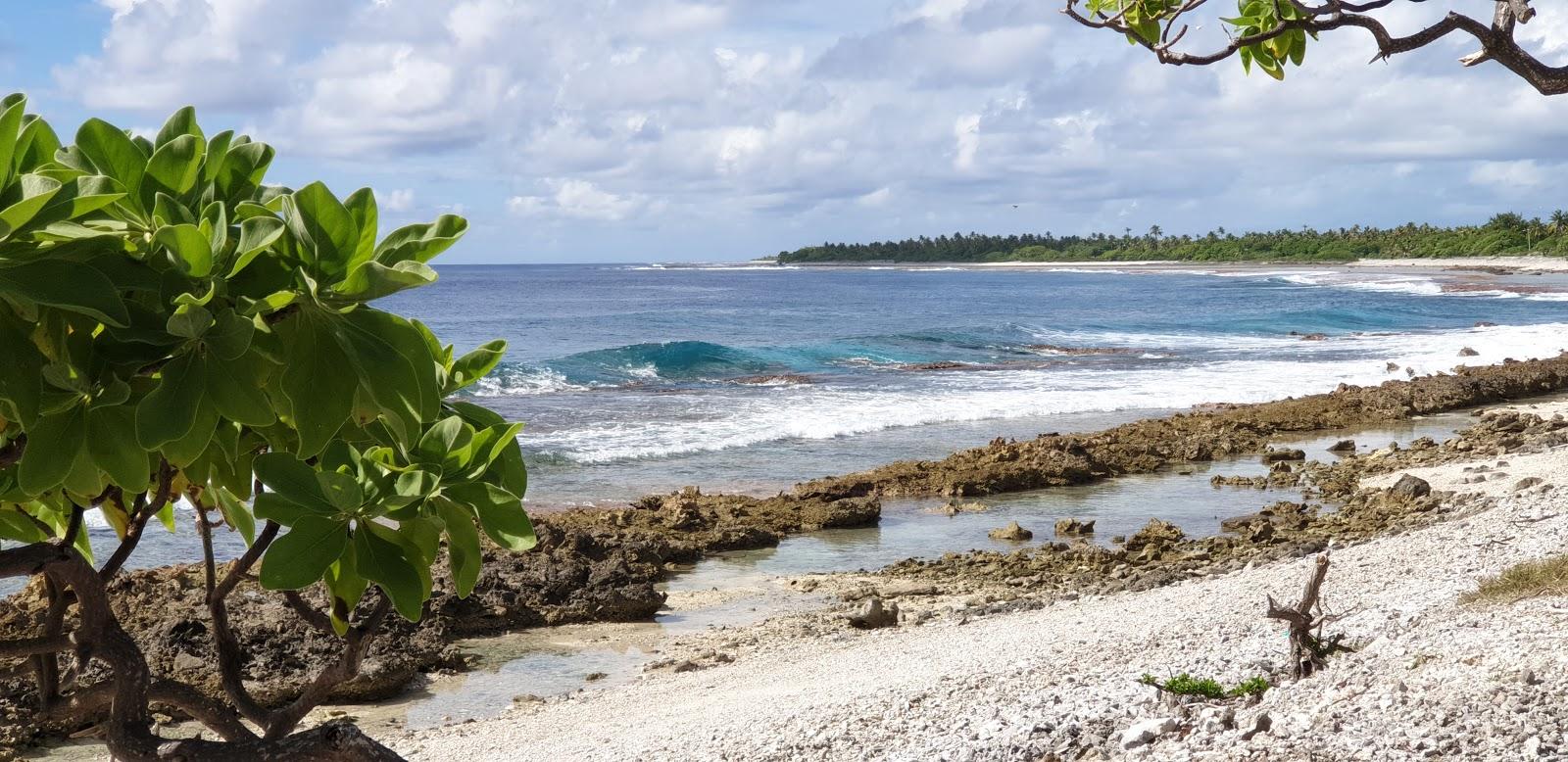 Sandee Moana Breeze Eco Lodge