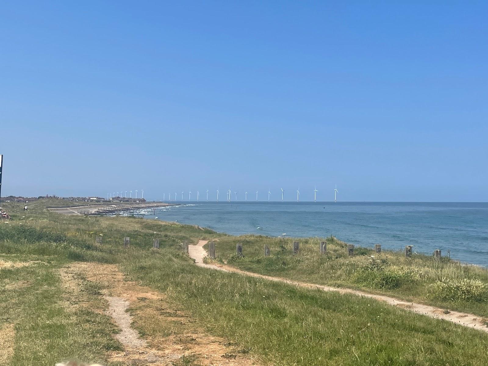 Sandee Stray Beach