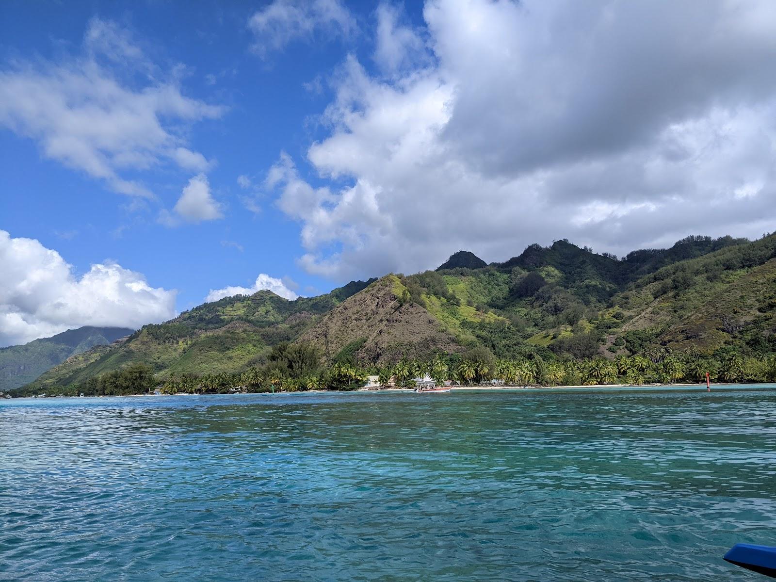 Sandee Coco Beach Moorea