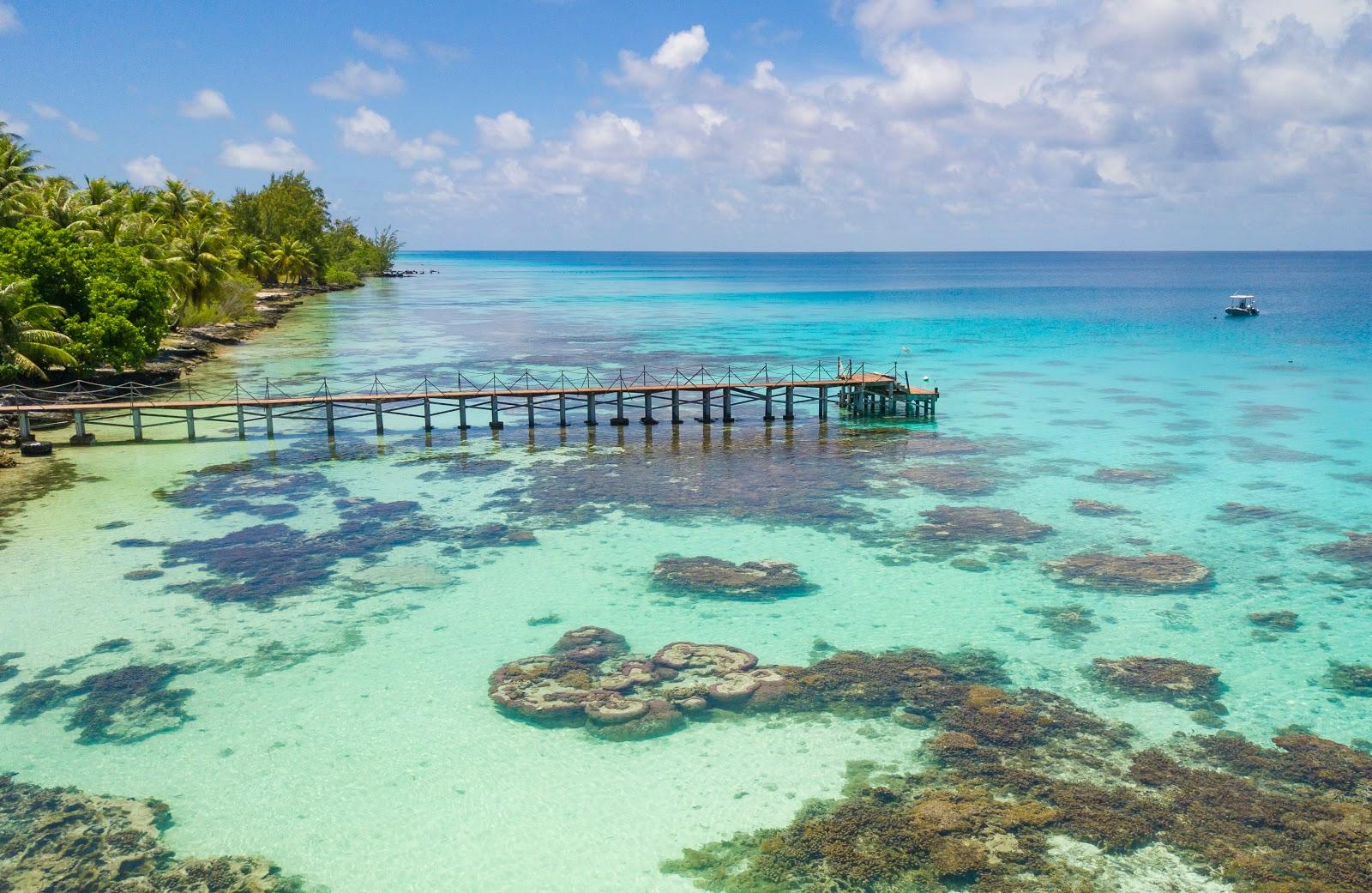 Sandee Dive Spirit Fakarava