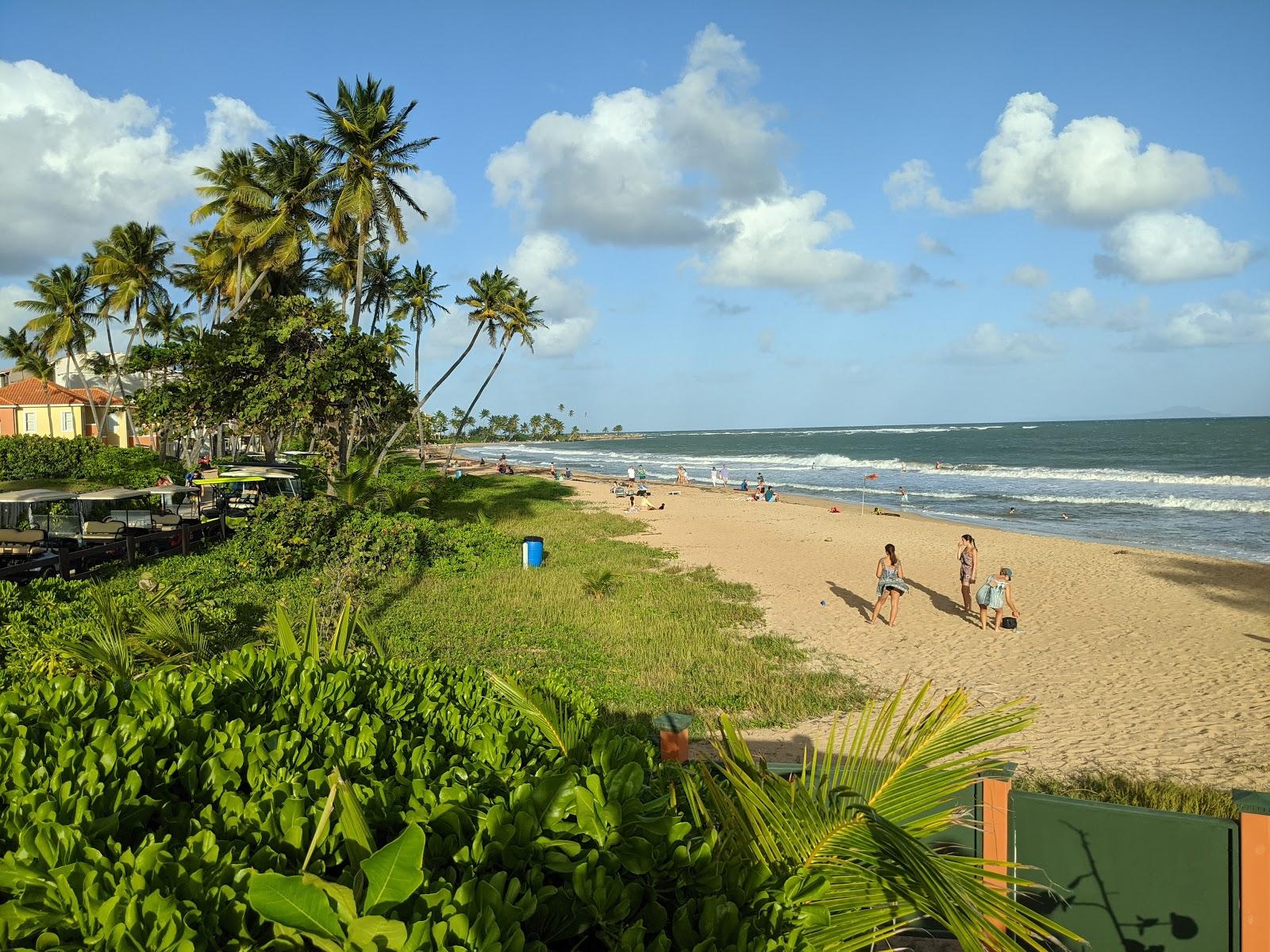 Sandee Praia De Palmas