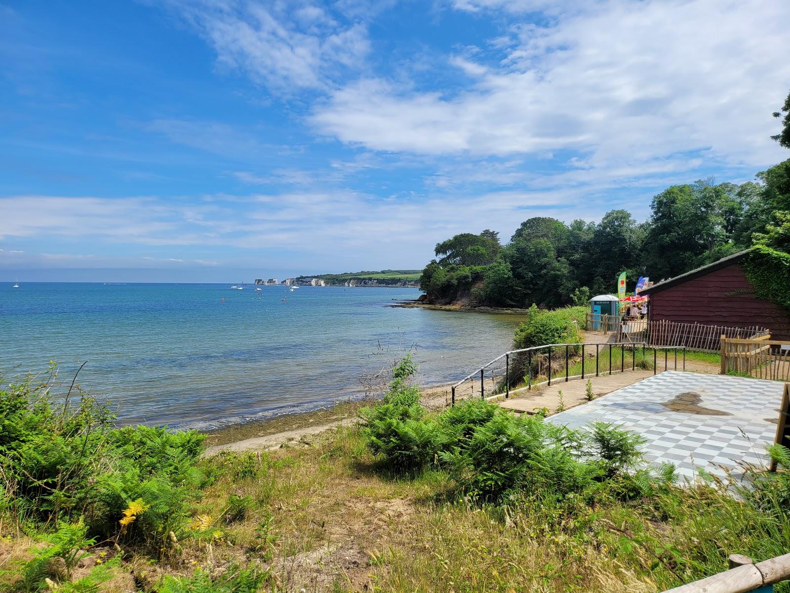 Sandee Studland Bay